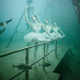 Illustration for article titled The Astonishing Treasures of Underwater Art Galleries